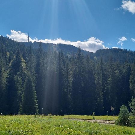 Elit Pamporovo Accommodation מראה חיצוני תמונה