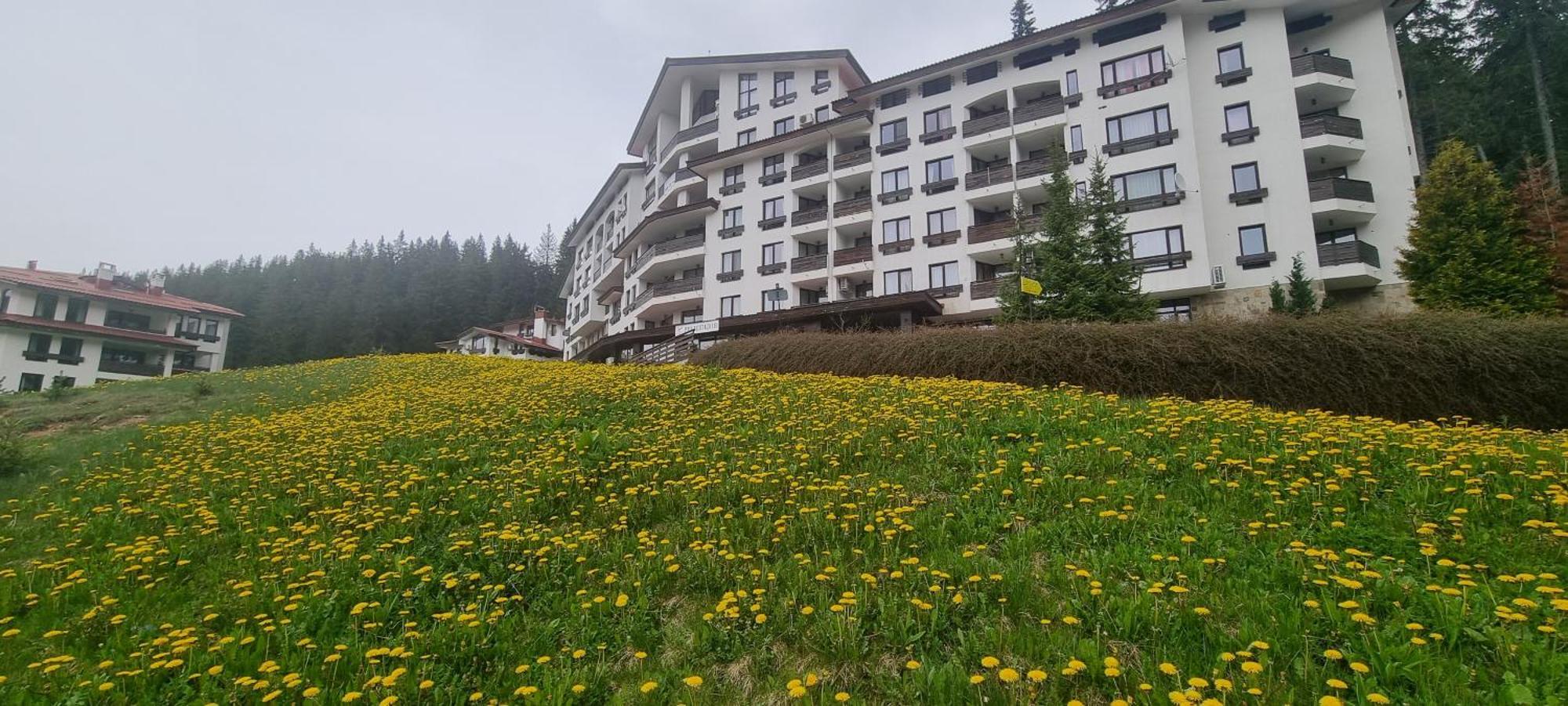 Elit Pamporovo Accommodation מראה חיצוני תמונה