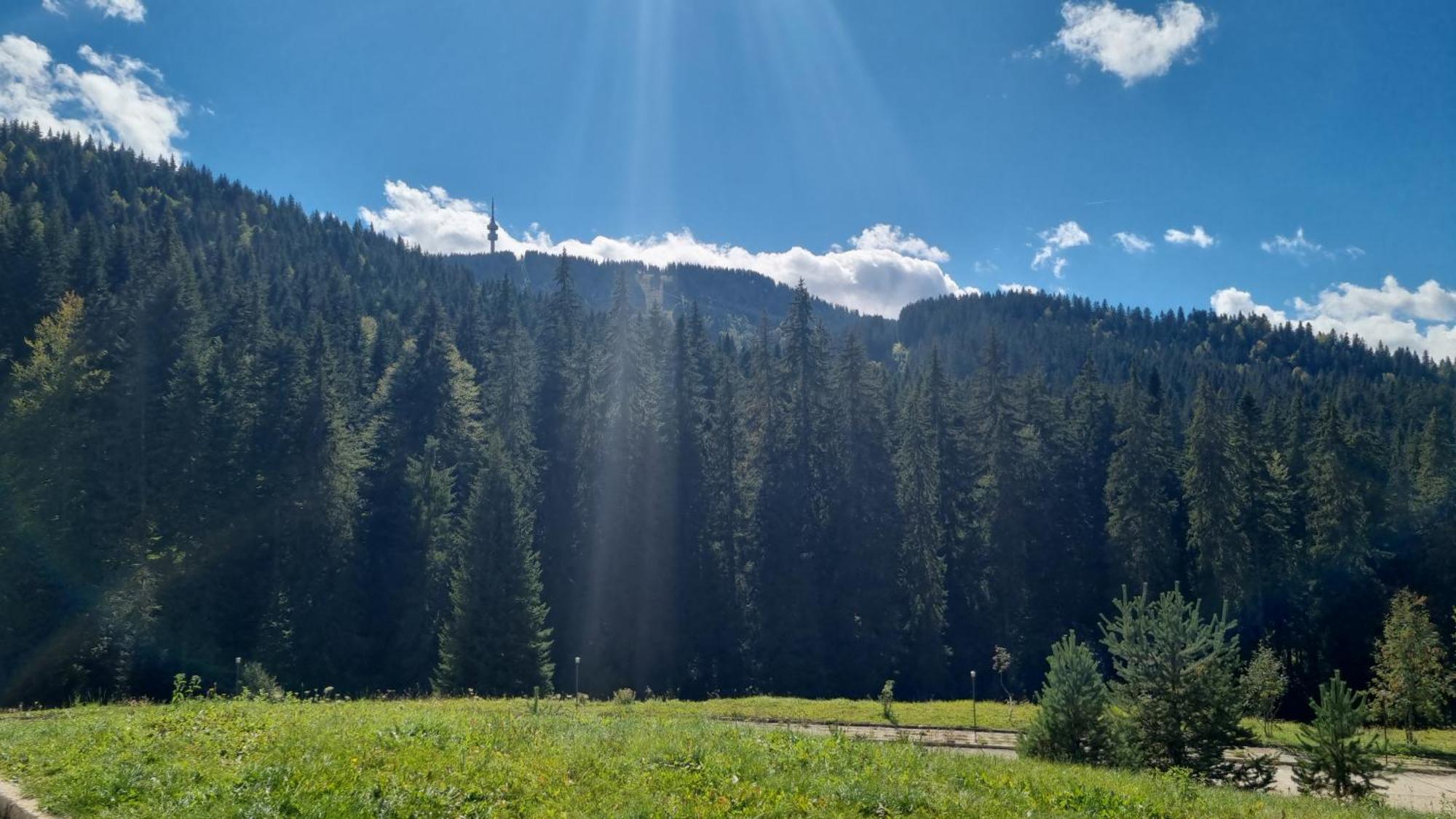 Elit Pamporovo Accommodation מראה חיצוני תמונה