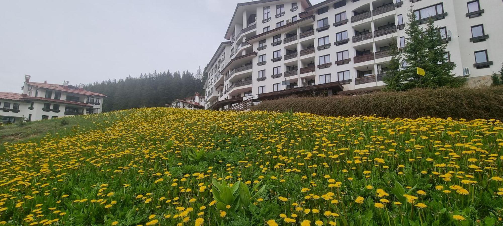 Elit Pamporovo Accommodation מראה חיצוני תמונה